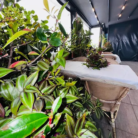 Renova Old ホテル