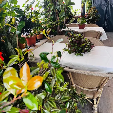 ホテル Renova Old